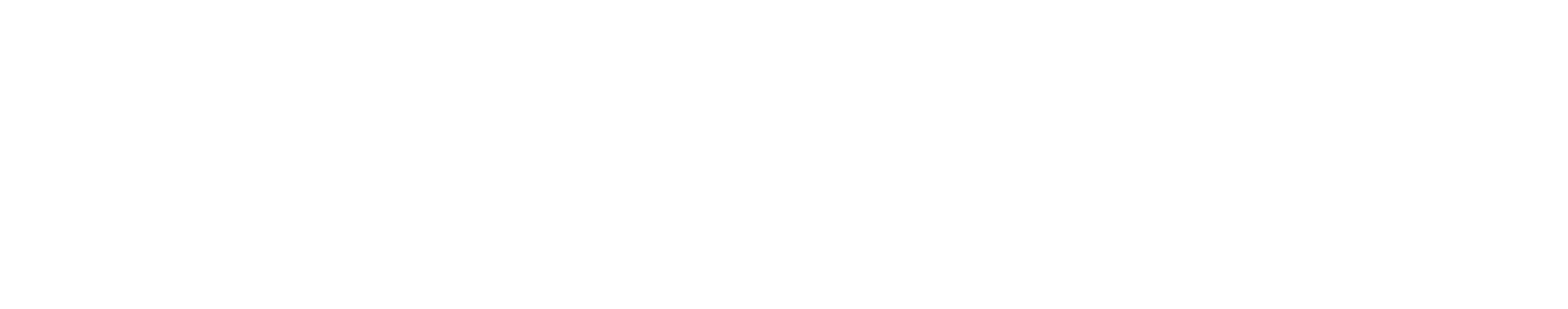 BrainConcept Logo