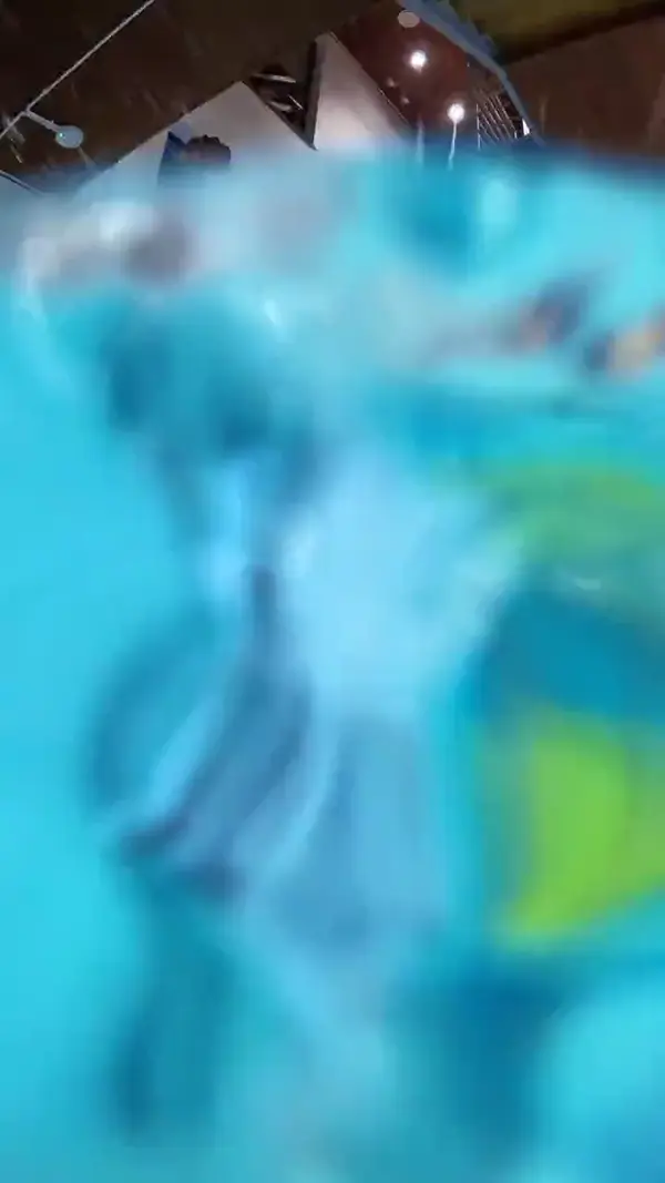 Swim&Fun 2