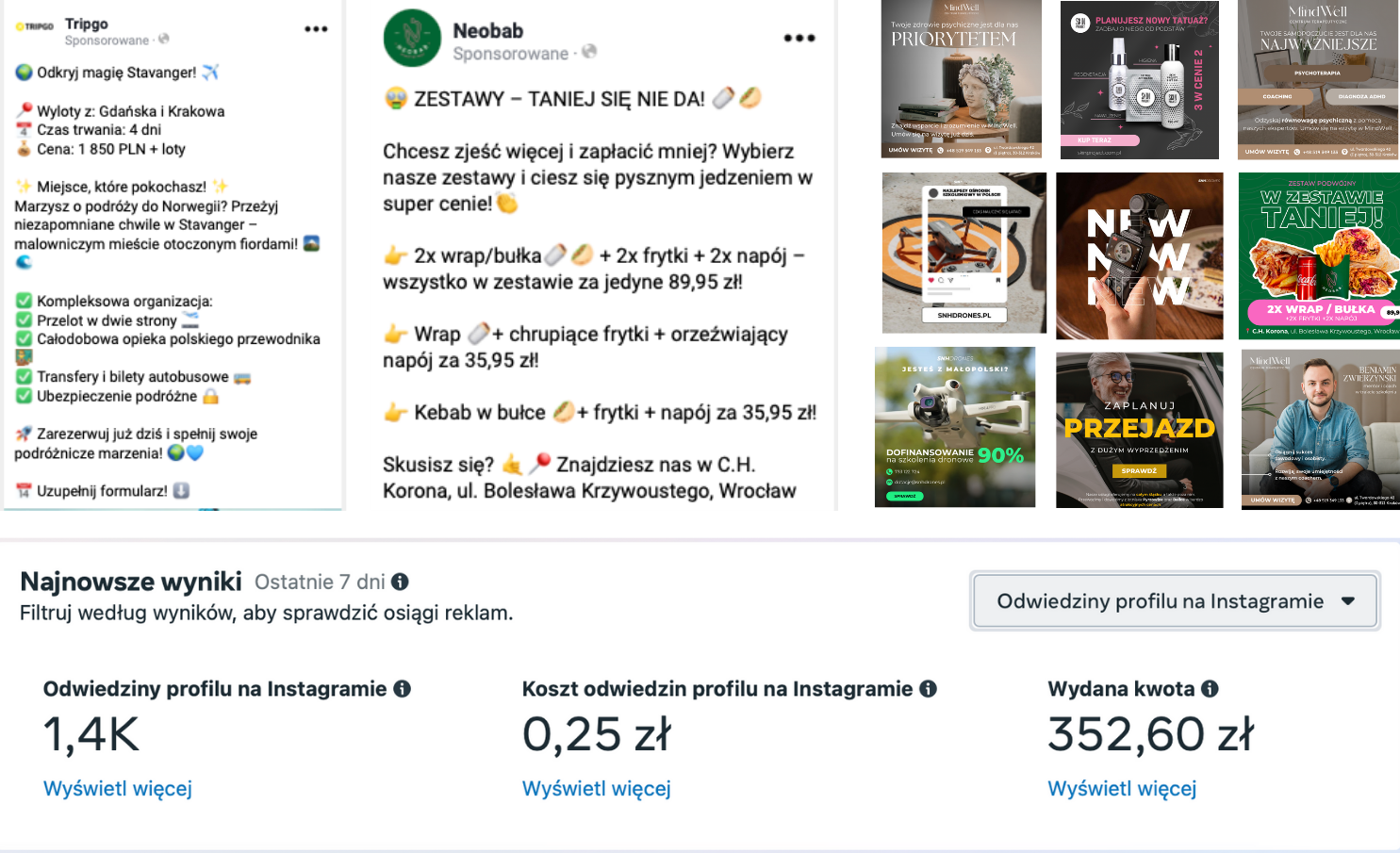 Zanonimizowany zrzut wyniku kampanii Meta Ads na wizyty w profilu