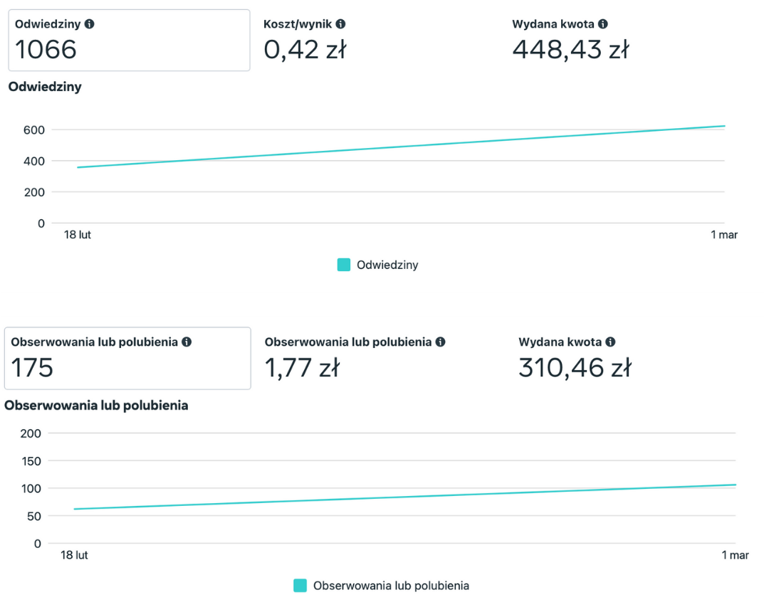 Statystyki kampanii - grafiki i copy